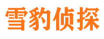 田家庵找人公司